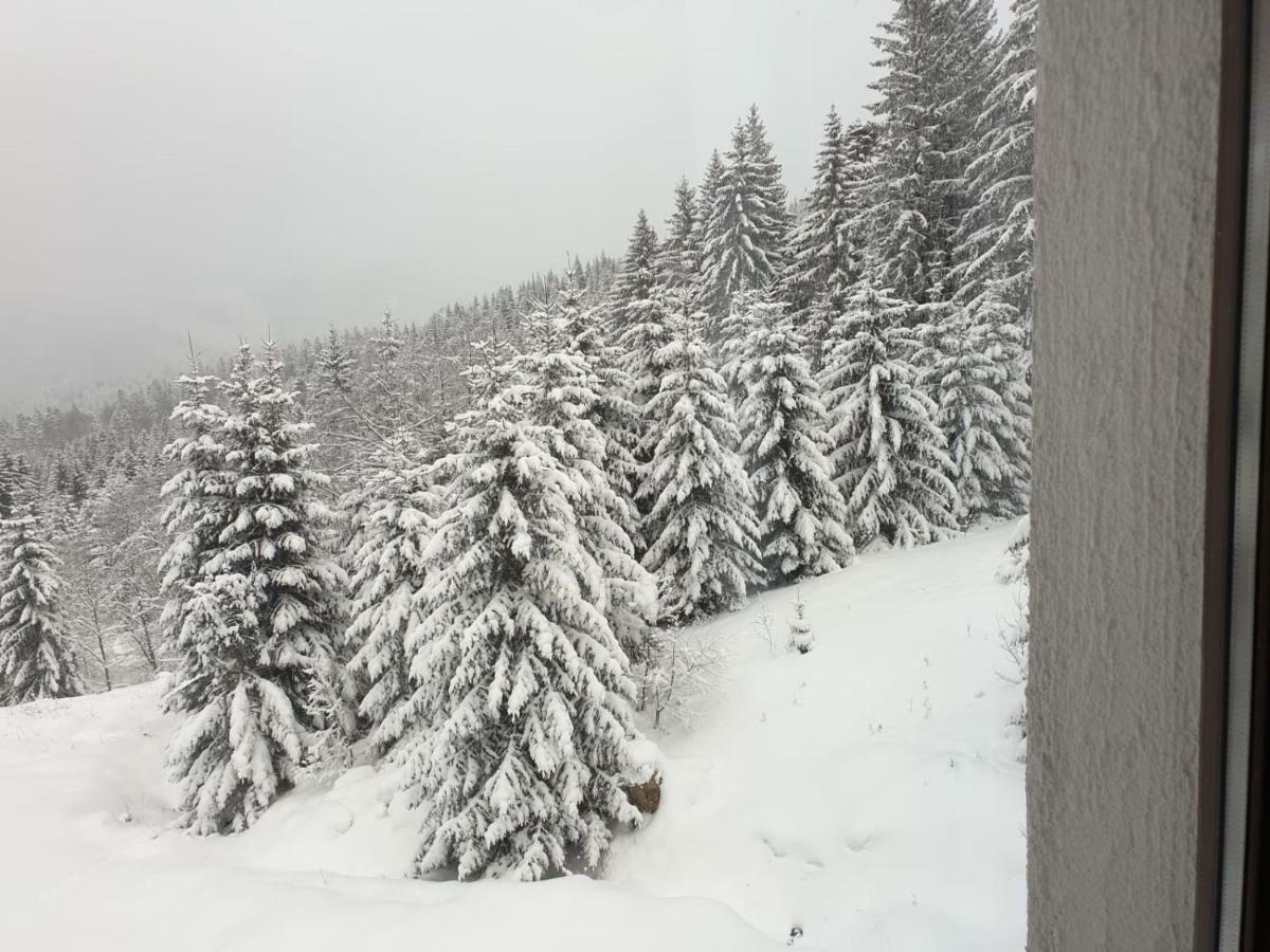 Nature House بْريدال المظهر الخارجي الصورة